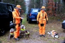 Drückjagd