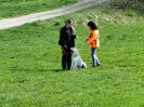 Grundgehorsam