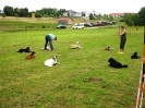 Gruppenstunde