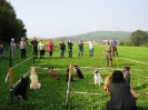 Gruppenstunde