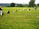 Gruppenstunde