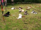 Gruppenstunde