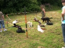 Gruppenstunde