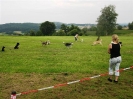 Gruppenstunde