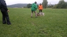 Jagdhundausbildung_2