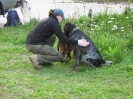 Jagliche Arbeit