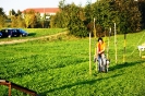 Tag des Hundes 2011