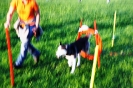 Tag des Hundes 2011
