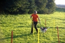 Tag des Hundes 2011