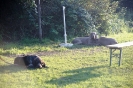 Tag des Hundes 2011