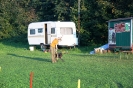 Tag des Hundes 2011