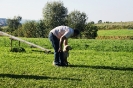 Tag des Hundes 2011