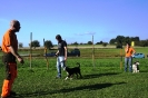 Tag des Hundes 2011