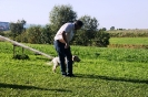 Tag des Hundes 2011