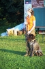 Tag des Hundes 2011