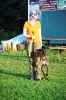 Tag des Hundes 2011