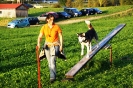 Tag des Hundes 2011
