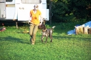 Tag des Hundes 2011