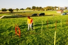Tag des Hundes 2011