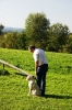 Tag des Hundes 2011