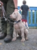 Besuch des Husittenlagers in Neunburg v.W. am 29.07.2012