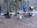Wildpark Höllohe