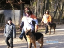 Wildpark Höllohe