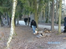 Wildpark Höllohe