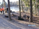 Wildpark Höllohe (Hund und Natur)
