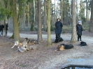 Wildpark Höllohe
